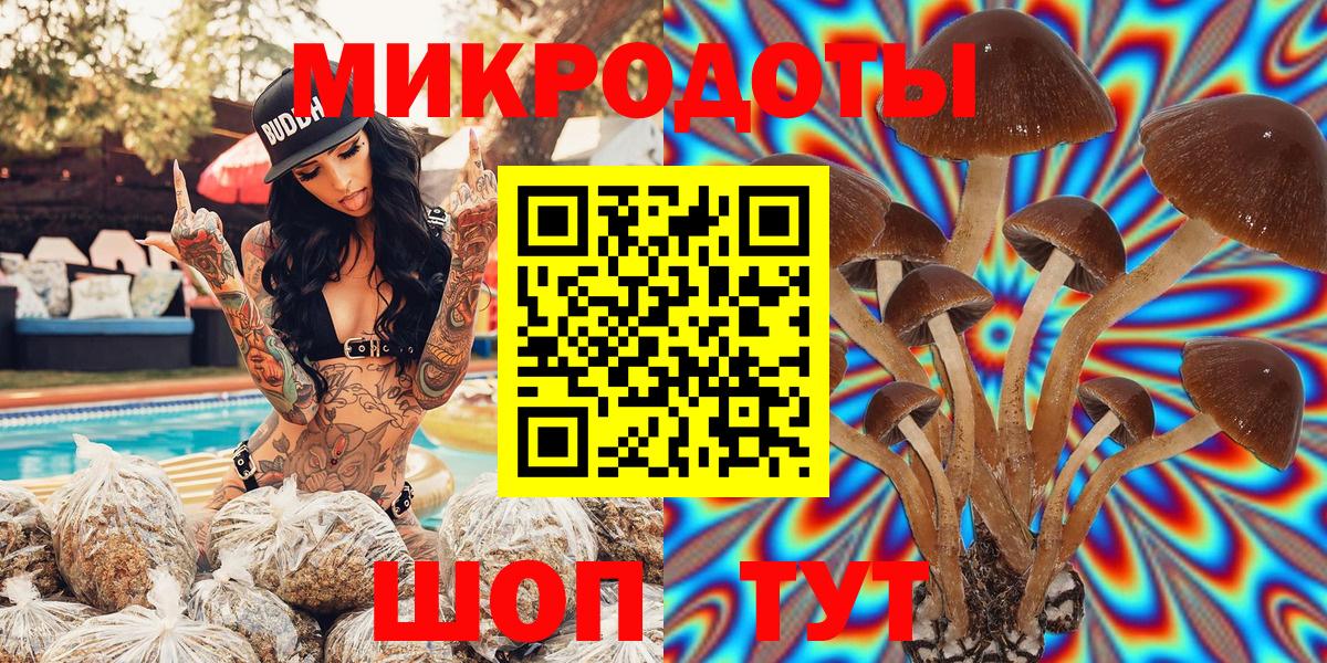 Псилоцибиновые грибы Cubensis Великий Новгород